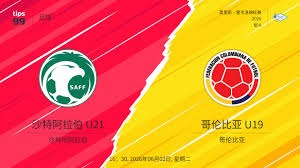 孙兴慜拒绝采访背后的故事与世界杯期待